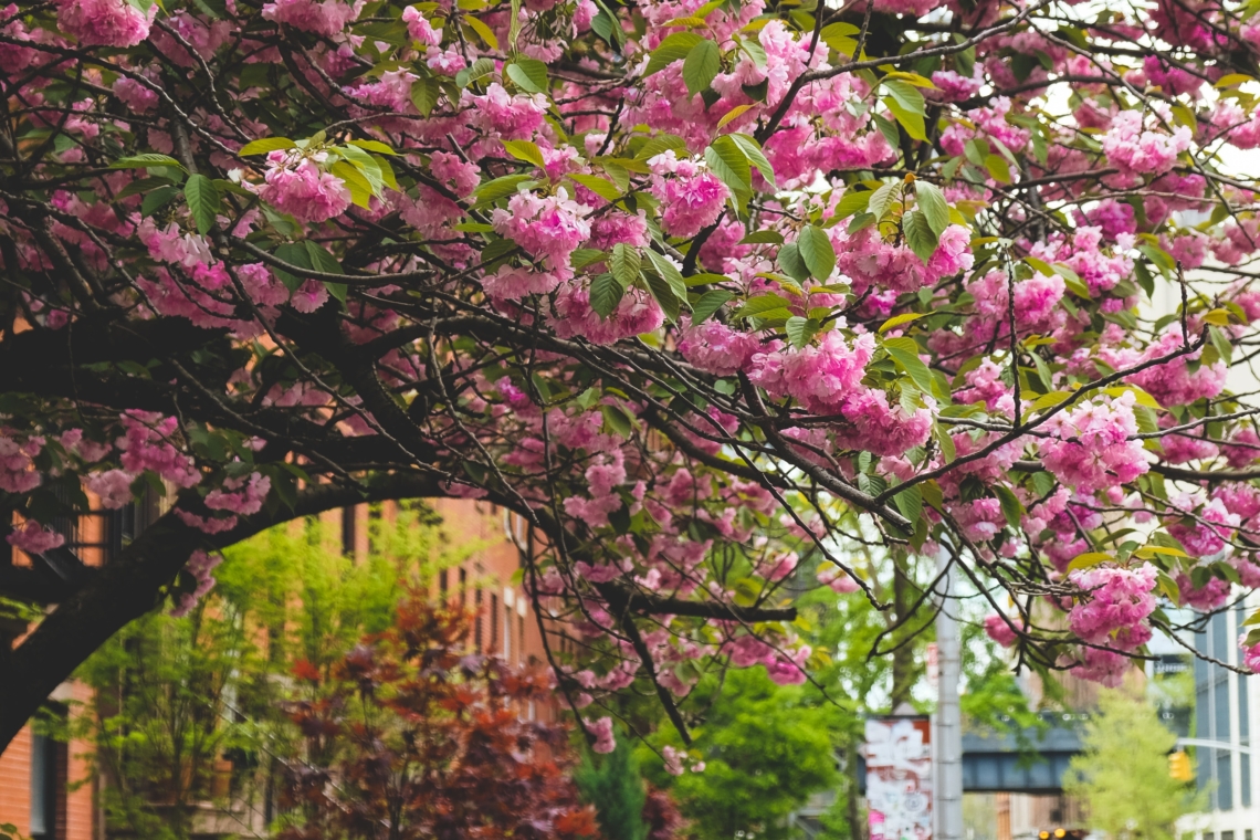 o que fazer em Nova York, visitante pela primeira vez